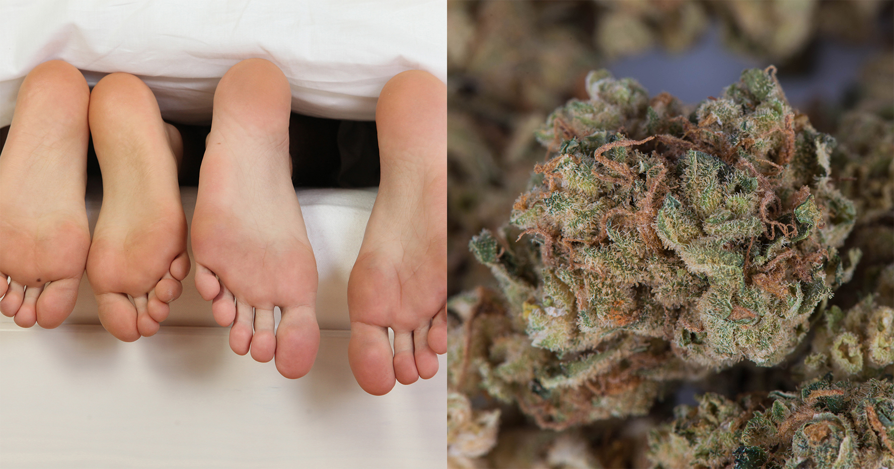 Benefits of Cannabis Benefits of Cannabis