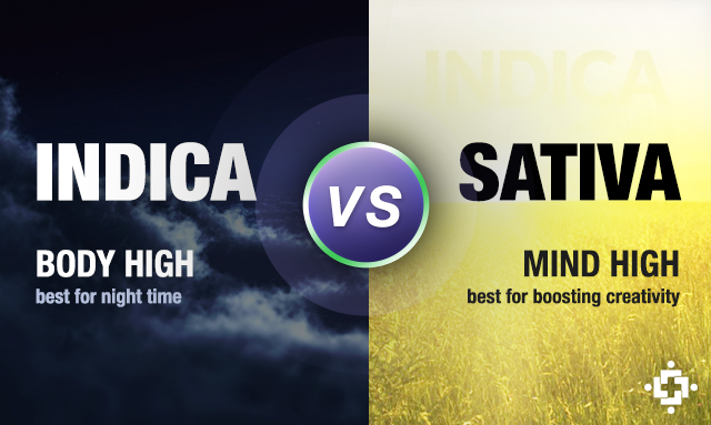 Mind High Vs Body High Mind High Vs Body High