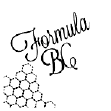 FORMULA LOGO 1 3