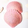 bathshellstrawnana