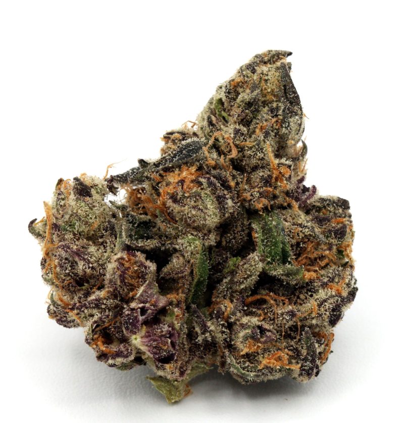 darkrain2 purple skittlez resize edit
