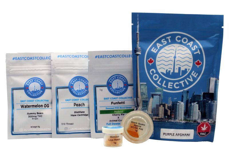 eastcoastpack 1 copy resize edit scaled 1