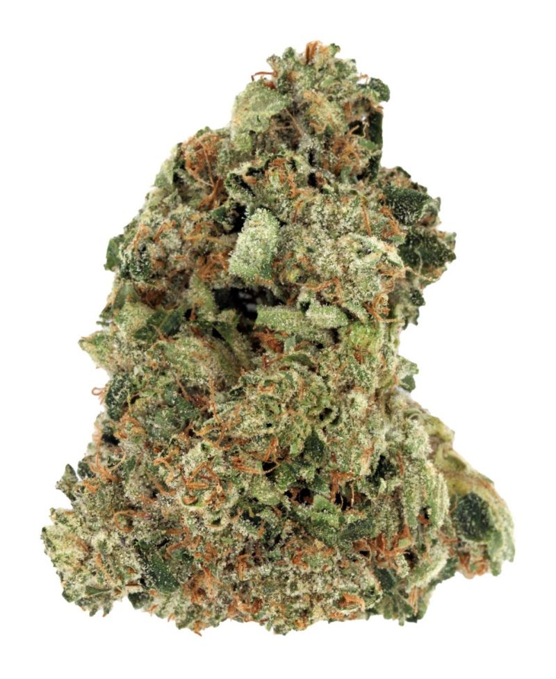 kush copy