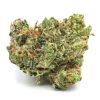 ogkush1 scaled 1