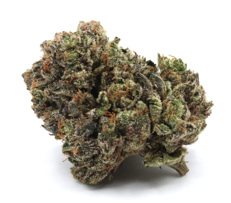 pinkstarburst2 1 scaled 1