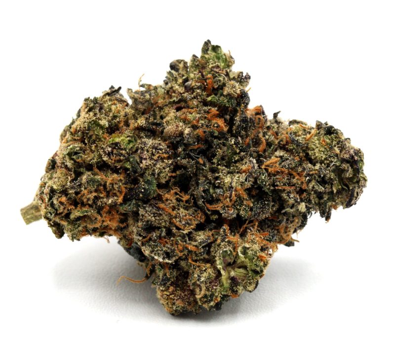 sherbert1 copy resize edit scaled 1