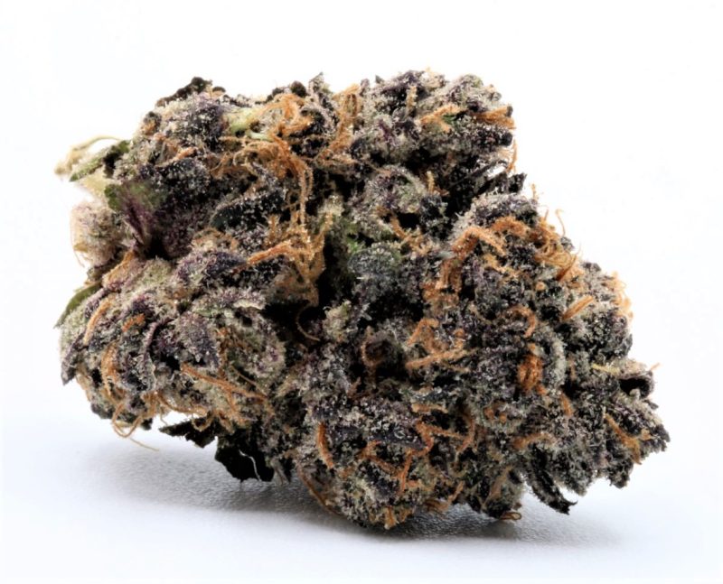 zkittlez3 copy resized edited