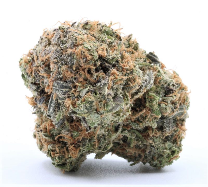 zombiekush1 copy resized edited oct 22 1