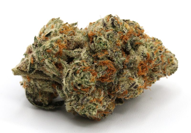 MACSlurricane1