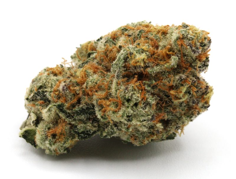 MACSlurricane2