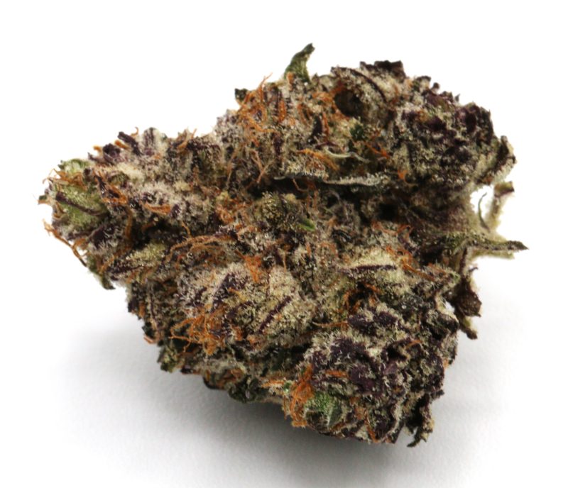 PurpleTruffle1