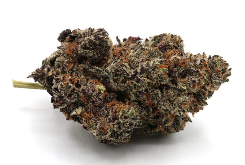 PurpleTruffle3