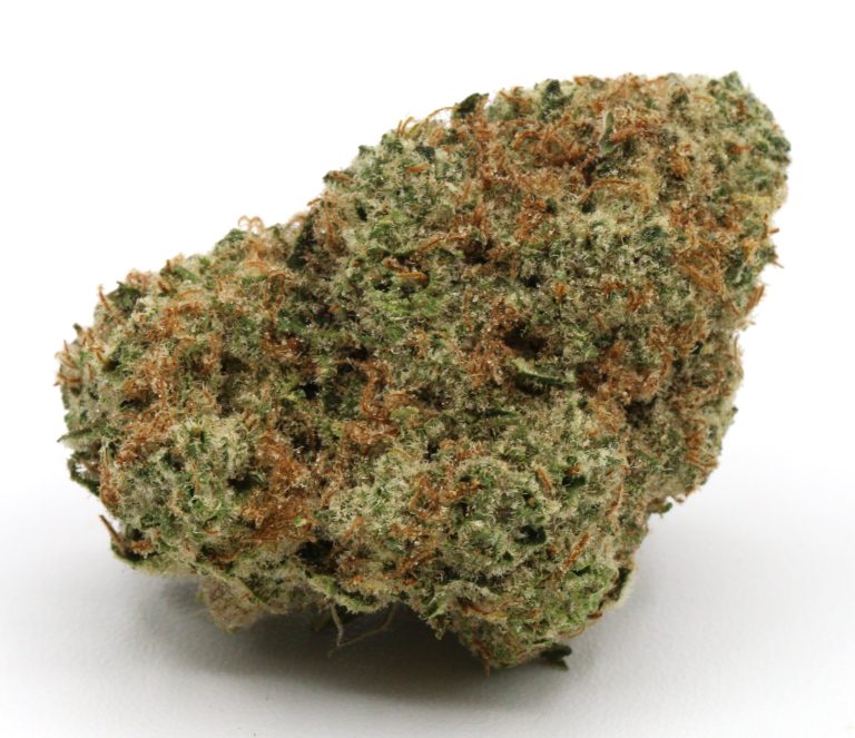 BlueLob1