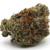 FrozenGrape1