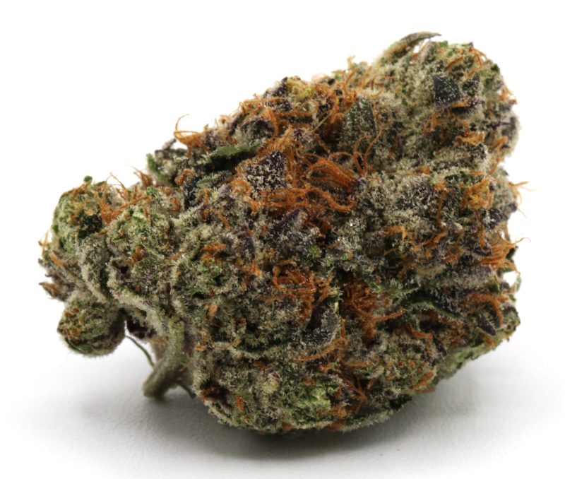 FrozenGrape1