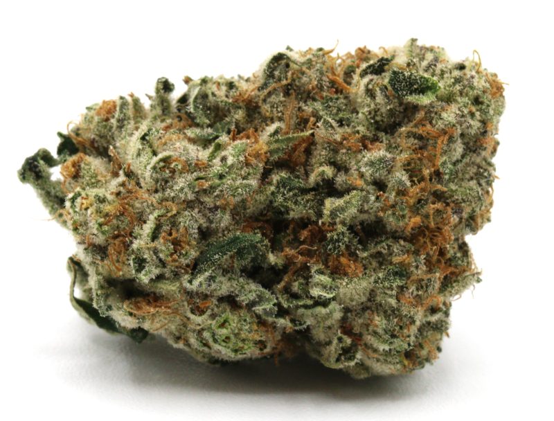 FrozenGrape2