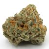 Guava1