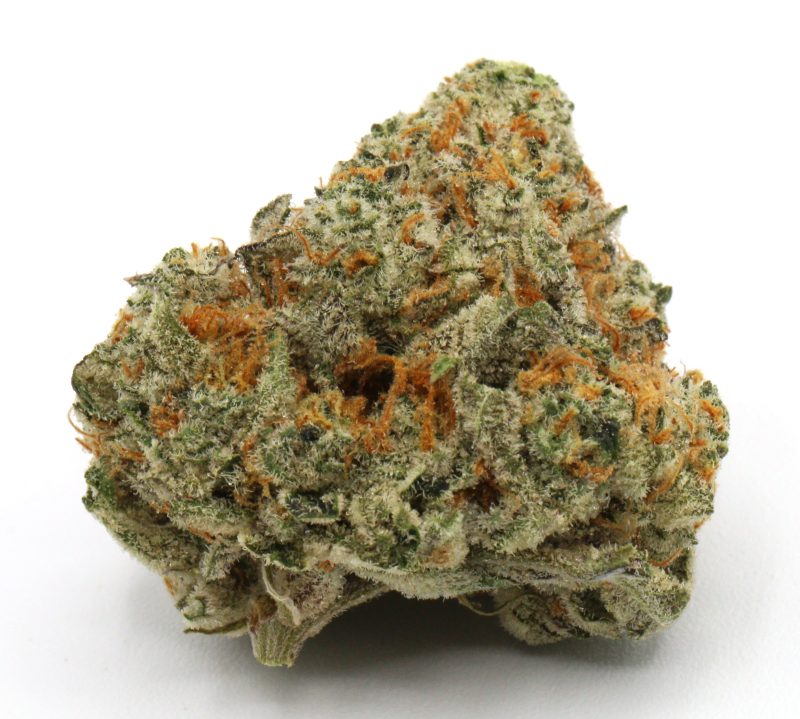 Guava1