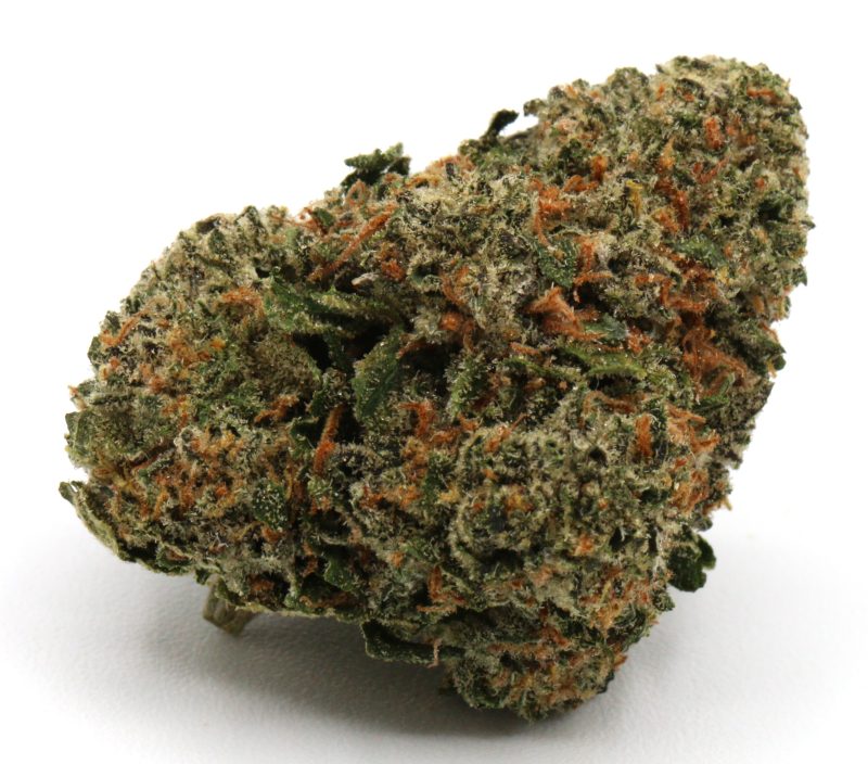 Guava2