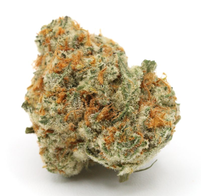 Hard Apple Strain 3