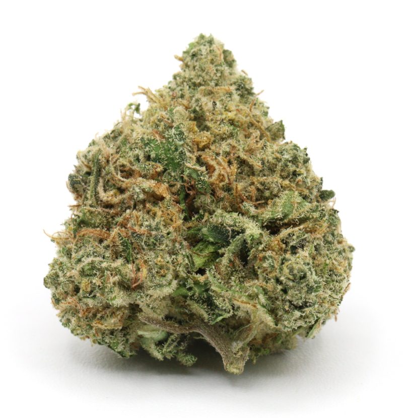 Snoop Dogg OG Strain 2